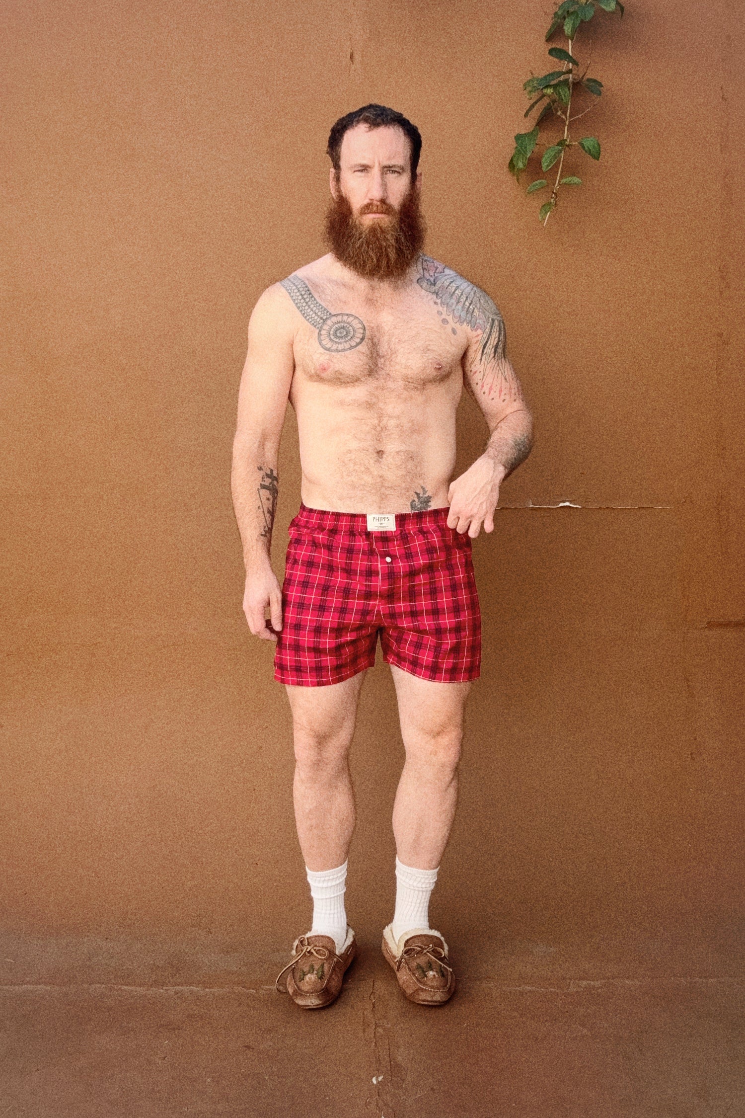 boxers_0001_AfterlightImage2_0